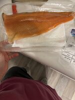 Rainbow Trout Fillet