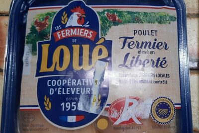 Poulet fermé en liberté