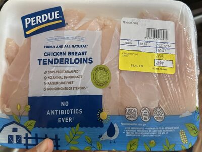 Chicken Breast Tenderloin