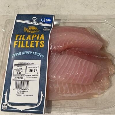Tilapia filets