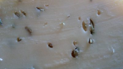Gouda au cumin