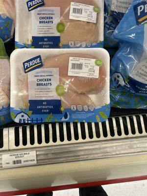 Chicken Breasts