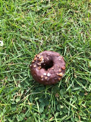 Mini chocolate doughnut