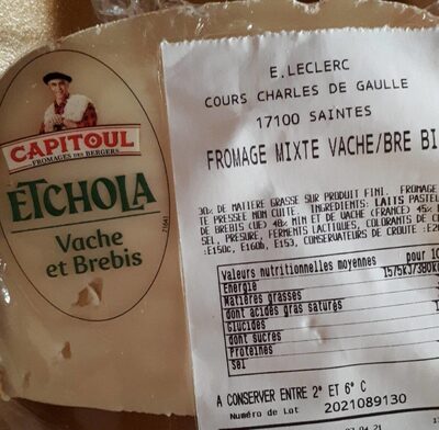 ETCHOLA vache et brebis