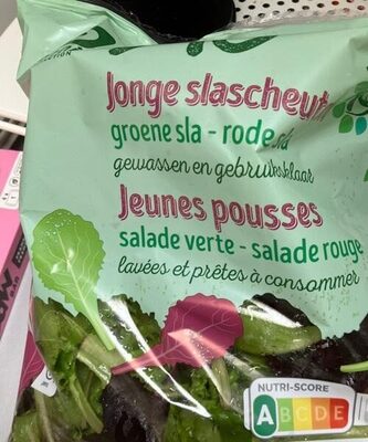 Jeune pousse salade verte