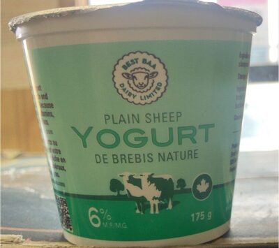 Plain Sheep's Milk Yogurt