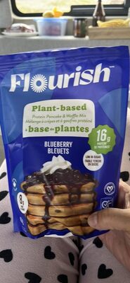 Plant-based Protein Pancake & Waffle Mix Blueberry front packaging