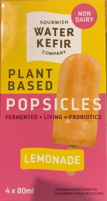 Lemonade Plant Based Popsicles