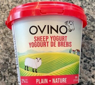 Sheep Yogurt