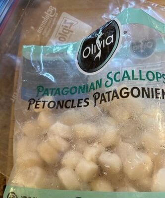 Pétoncles patagoniens