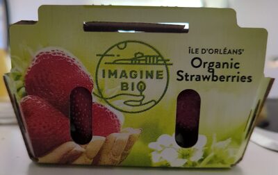 Fraises biologiques