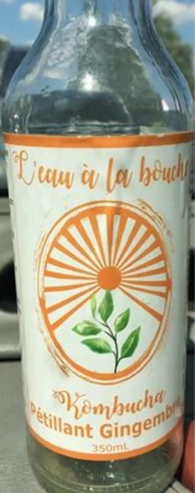 Kombucha l'eau à la bouche