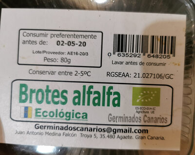 Brotes de alfalfa
