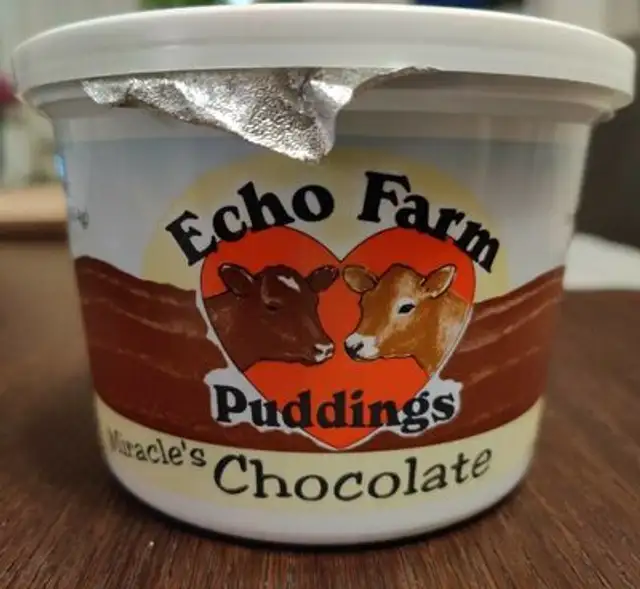 Chocolate Pudding