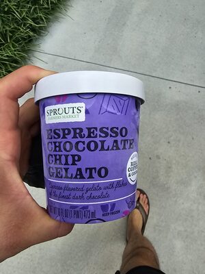 Espresso Chocolate Chip Gelato