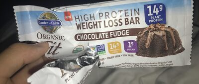 High protein chocolate fudge