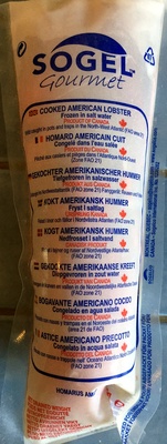 Homard américain cuit congelé dans l'eau salé