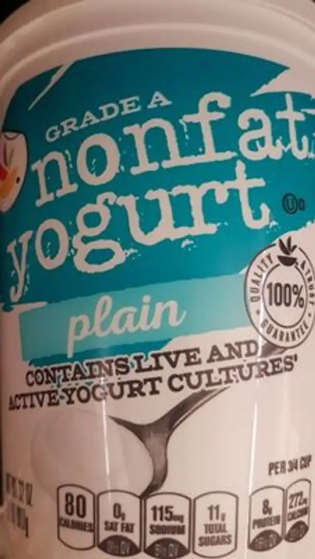 Nonfat yogurt plain
