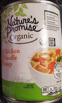 Chicken Noodle Soup