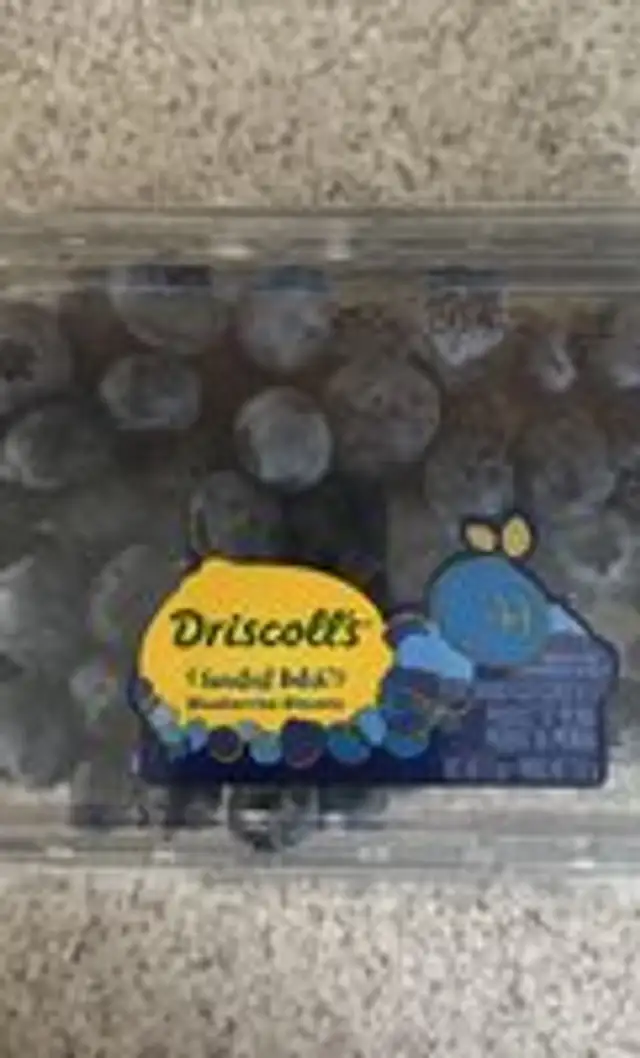 Sweetest Batch Blueberries