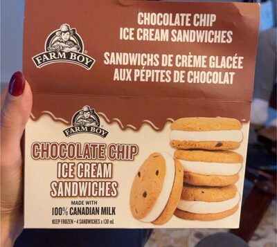 Chocolate Chip Ice Cream Sandwiches