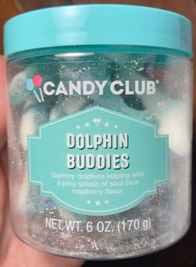 Dolphin buddies