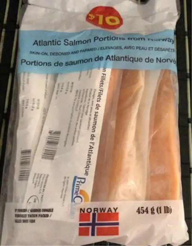 Salmon