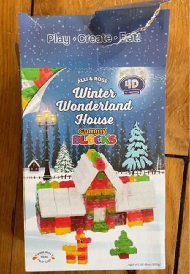 Winter Wonderland House Grummy Blocks
