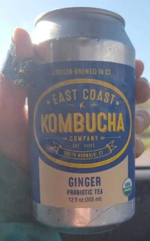 Kombucha ginger