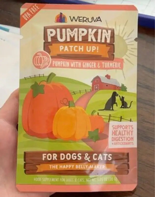 Pumpkin patch up!