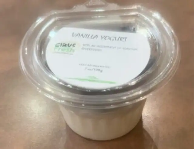 Vanilla Yogurt with Blueberries