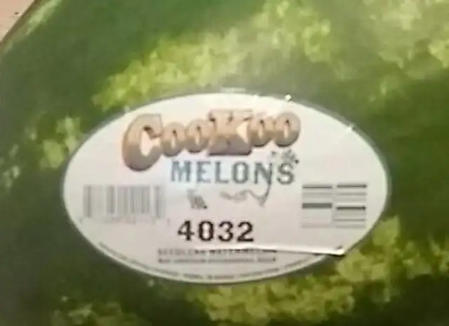 Watermelon
