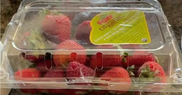 Organic Strawberries Fraises Biologique
