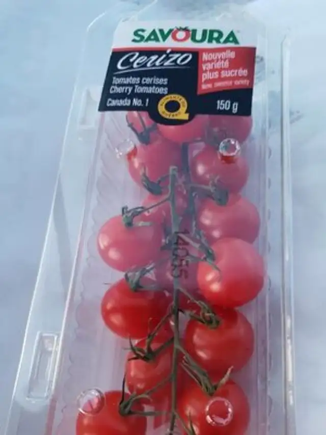 tomate cerise