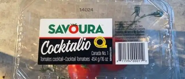 Tomates cocktails