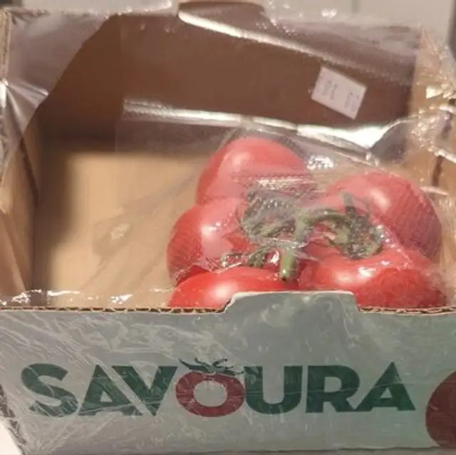Tomates