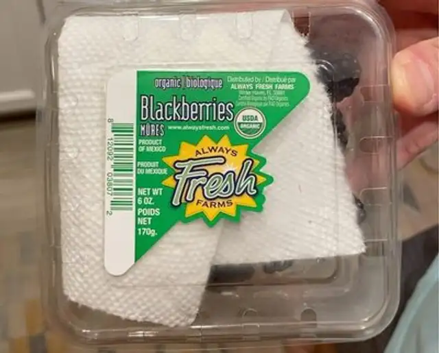 Blackberries