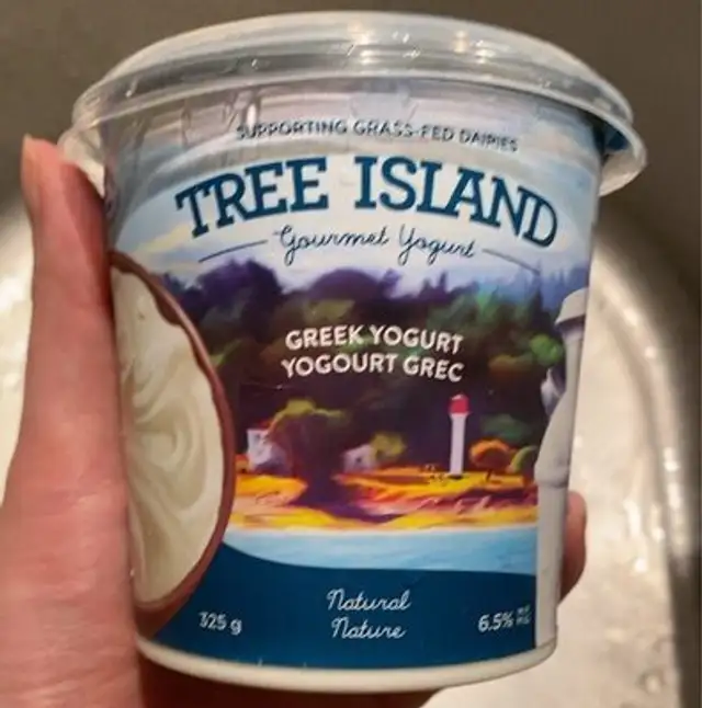 Greek yogurt