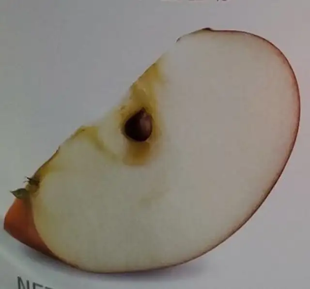 Nutristore freeze dried apples