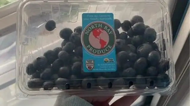 North bay blueberry