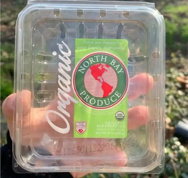 Organic blueberries