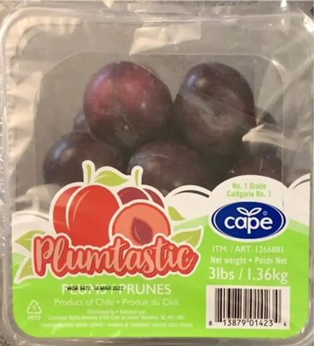 Plumtastic