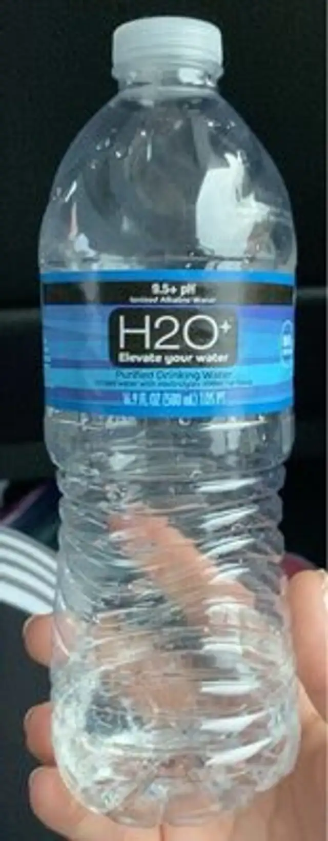 H20+