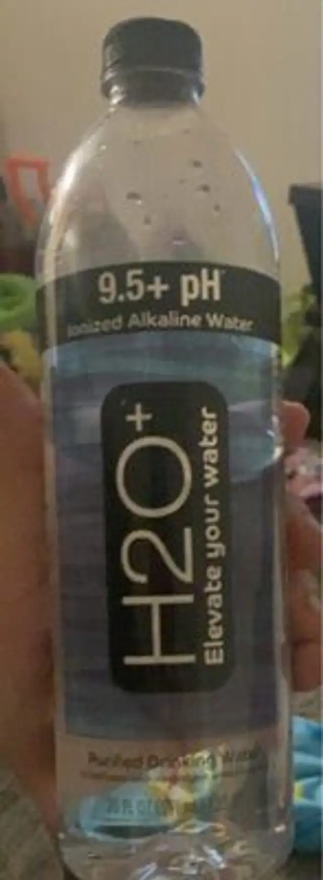 H20+
