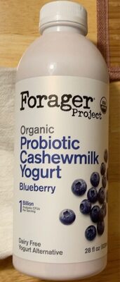 Organic Probiotic Blueberry Cashewmilk Yogurt