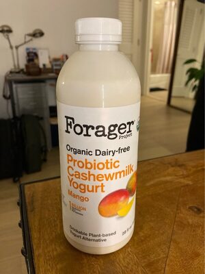 Probiotic Cashewmilk Yogurt