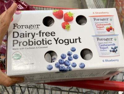 Dairy free Probiotic yogurt