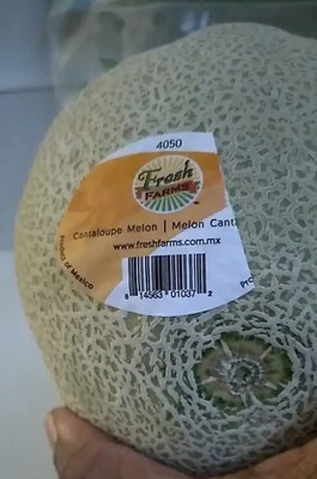 Cantaloupe Melon