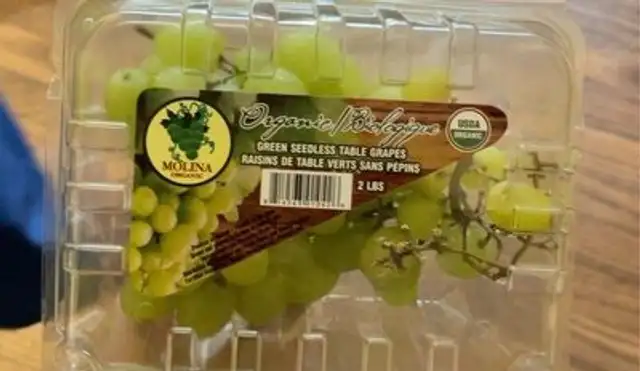 Green seedless table grapes
