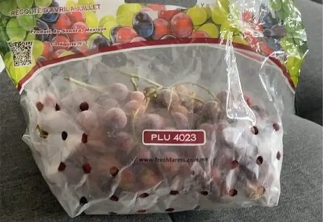 Red seedless table grapes